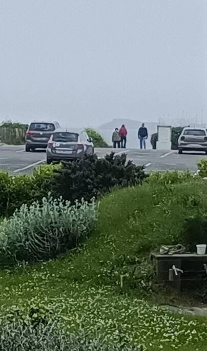 Appartamento Face A La Mer Saint-Cast-le-Guildo Esterno foto